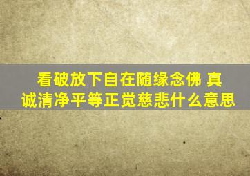 看破放下自在随缘念佛 真诚清净平等正觉慈悲什么意思